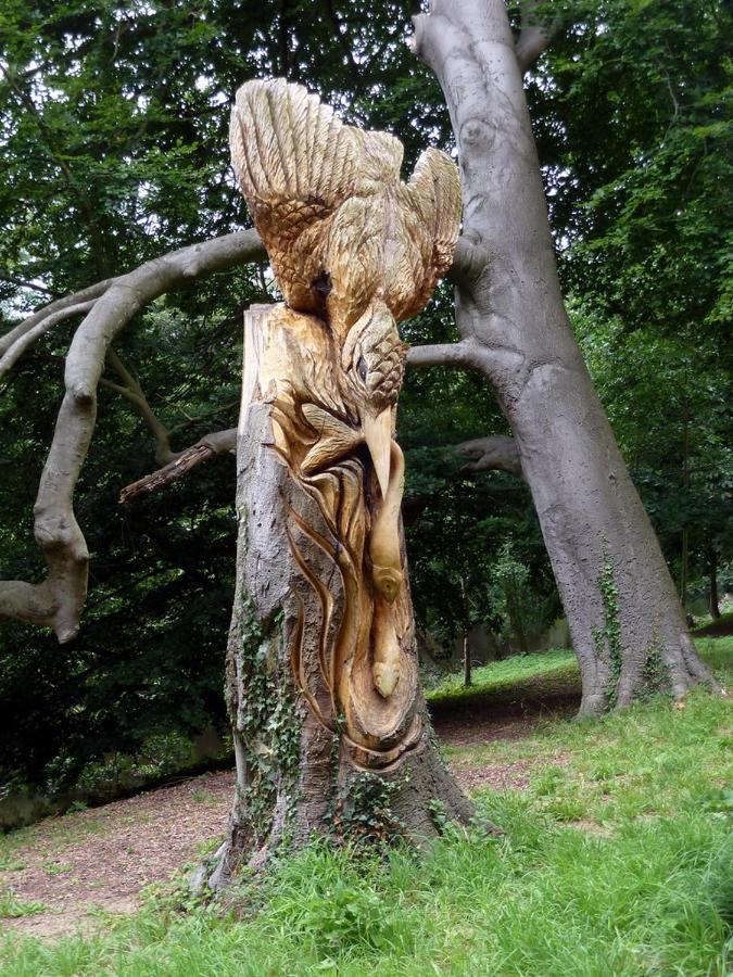 Sleepy Hollow Holiday Home ناريسبورو المظهر الخارجي الصورة